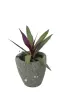 Product image 4 of the product “Planter, round, smooth, natural stone (Basanite), stonemasonry ”